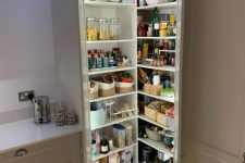 a small and well-organized pantry with built-in shelves, appliances and jars, bowls and cookware is a cool solution