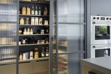 a small pantry with shelves and boxes and rain glass sliding doors that gently show off soem objects but not completely