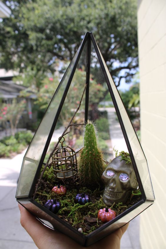 a stylish Halloween terrarium with moss, mini pumpkins, a cactus, a cage and a skull is a fun and cool idea to rock