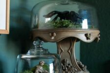 last-minute Halloween terrariums with moss, a skeleton and a large spider are great for Halloween decor