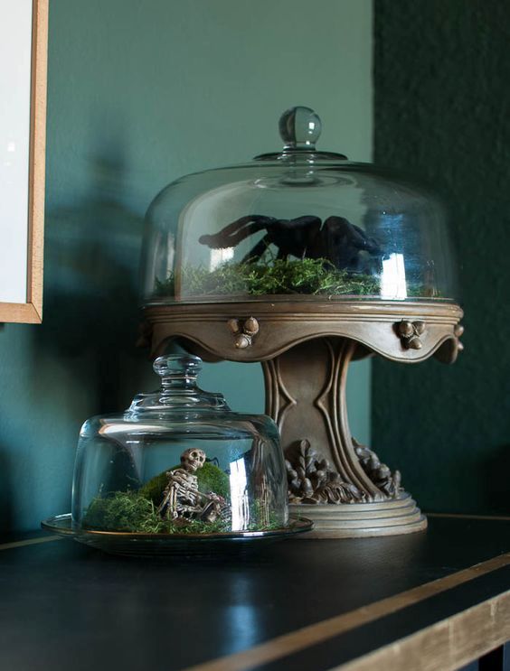 Last minute Halloween terrariums with moss, a skeleton and a large spider are great for Halloween decor
