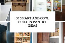 50 smart and cool built-in pantry ideas cover