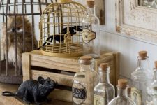 Harry Potter inspired decor with cages, spiders, an owl, a rat and bottles is great for Halloween