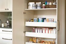 a built-in pantry featuring some shelves and smart drawers is a clever way to store food, spices, oils and drinks