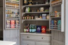 a built-in pantry that pefectly matches the cabinetry, with drawers, shelves and shelves on the doors is a smart idea for a kitchen