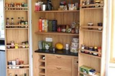 a built-in pantry with shelves, drawers, baskets, shelves on both doors and various oils, fodo, drinks and spices