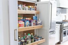 a neutral built-in pantry with pull-out drawers only is a cool idea with maximal functionality