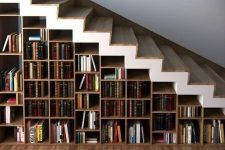 a whole under stairs bookcase features many books and can hold some other objects, too