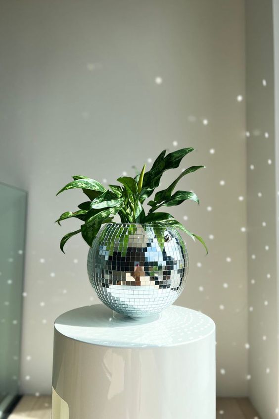 a disco ball planter is a gorgeous idea for any modern space, it will bring a party feel to your room