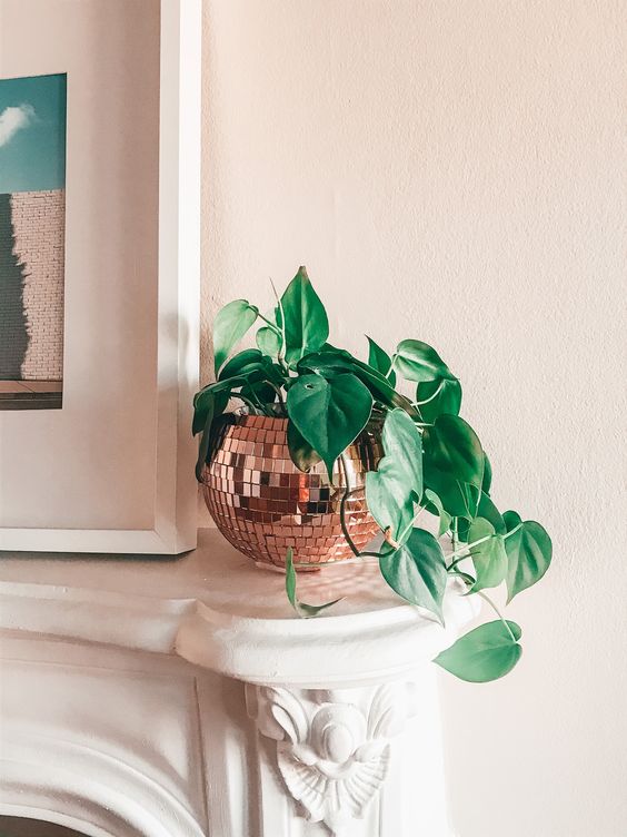 a small and pretty copper disco ball planter with greenery is a cool decoration for any space where you want a bit of fun