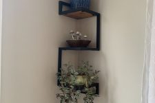 a practical corner shelf for potted plants