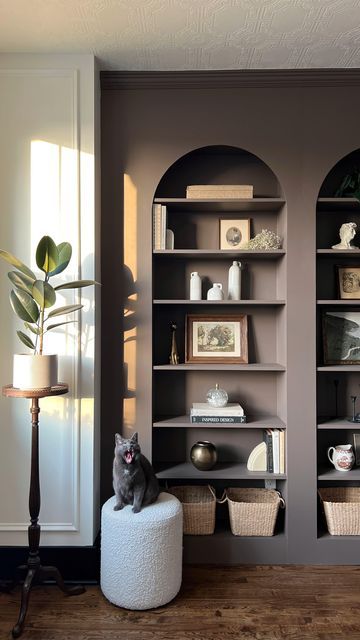 taupe arched bookcases with chic decor, a creamy pouf to contrast and a lovely cat on it