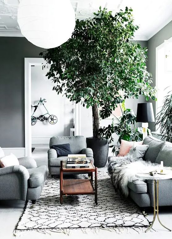 A Scandinavian living room with grey walls, grey seating furniture, a dark stained coffee table and some potted plants