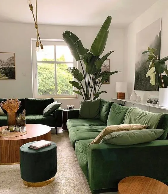 a stylish modern living room with dark green sofas, a coffee table, some poufs, potted plants and lovely decor