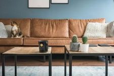 a lovely blue brown living room
