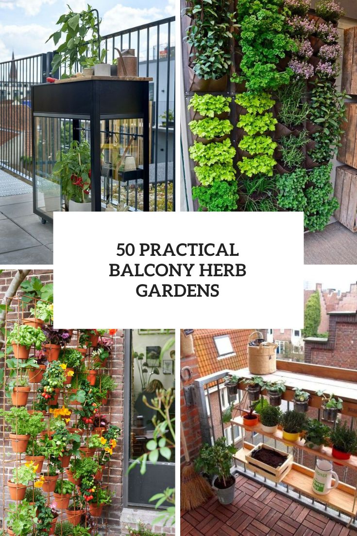 Practical Balcony Herb Gardens
