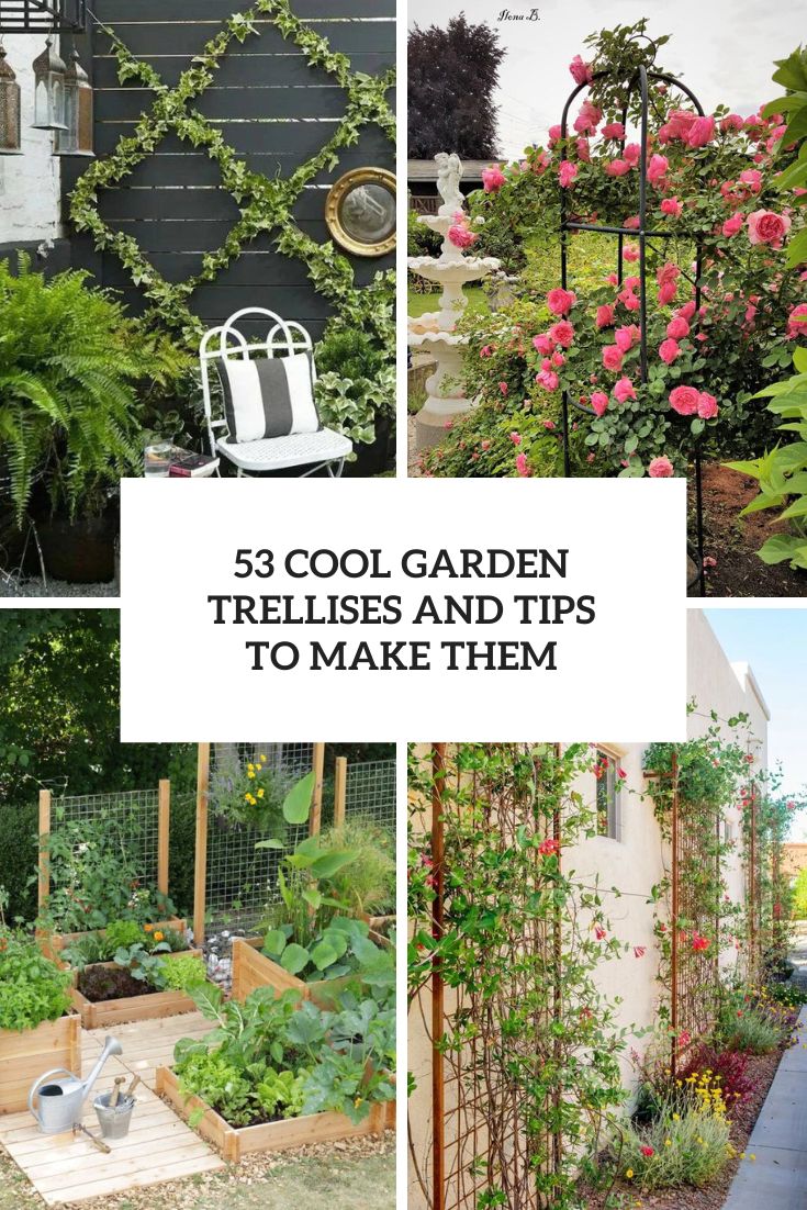 53 Cool Garden Trellises And Tips To Make Them