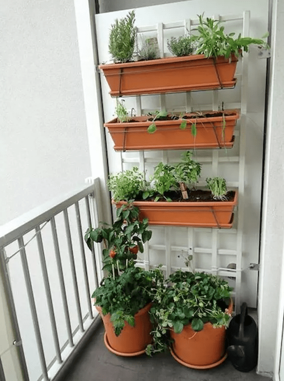 a balcony garden composed of a couple of planters on the floor and a tiered vertical planter on the wall lets you have fresh veggies and herbs