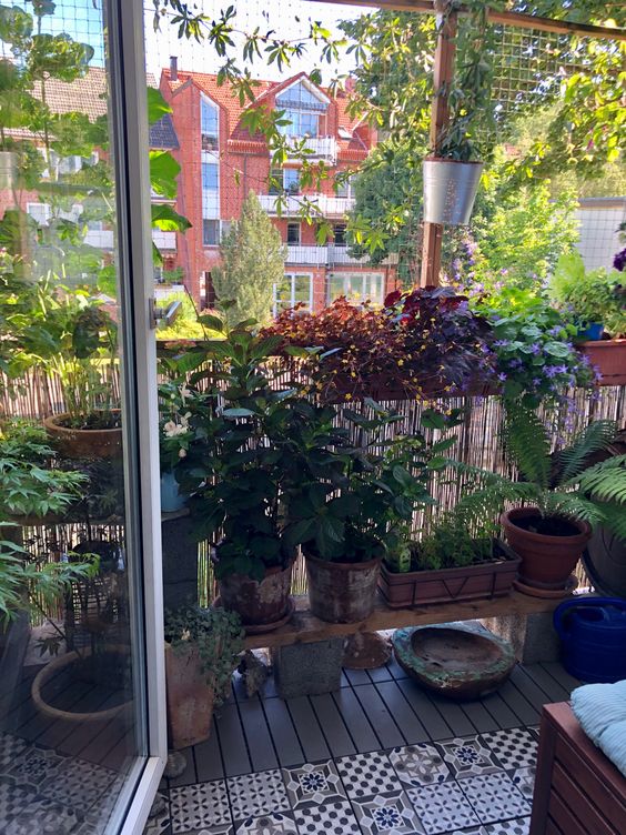 a balcony garden with potted herbs on shelves and railing, some pots attached to a grid and trellis