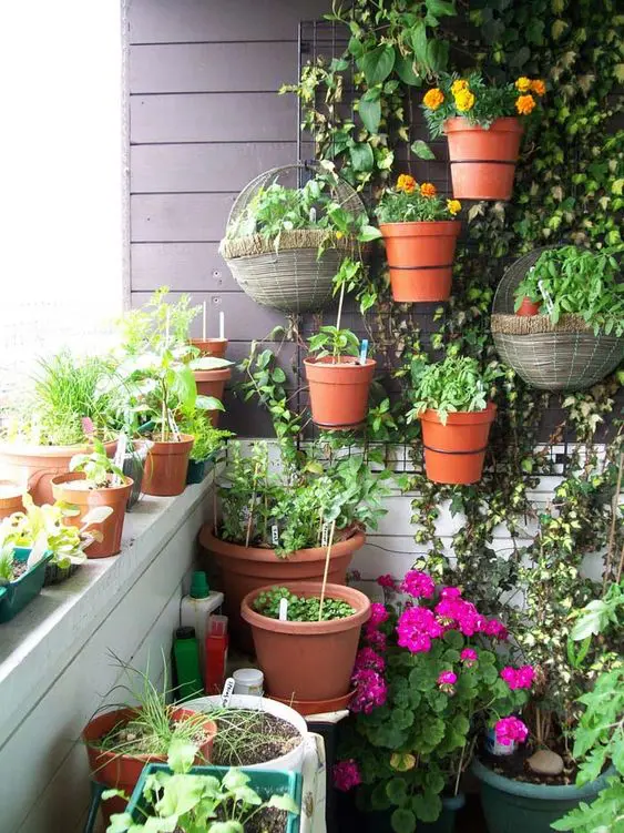 a balcony garden with vines and planters attached, some planters on stands and railings is a smartly organized space
