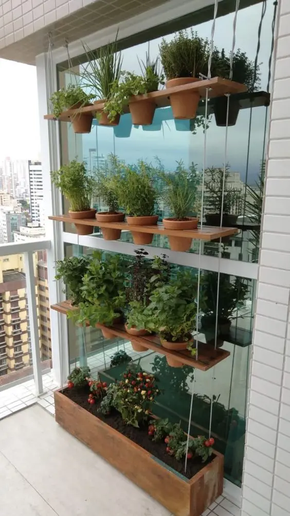 a balcony herb garden of a hanging shelf with potted herbs and a box with tomatoes on the floor is a cool idea for a modern space