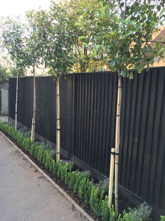 a black fence lined up with greenery and green trees are a cool combo for a modern or Scandinavian outdoor space