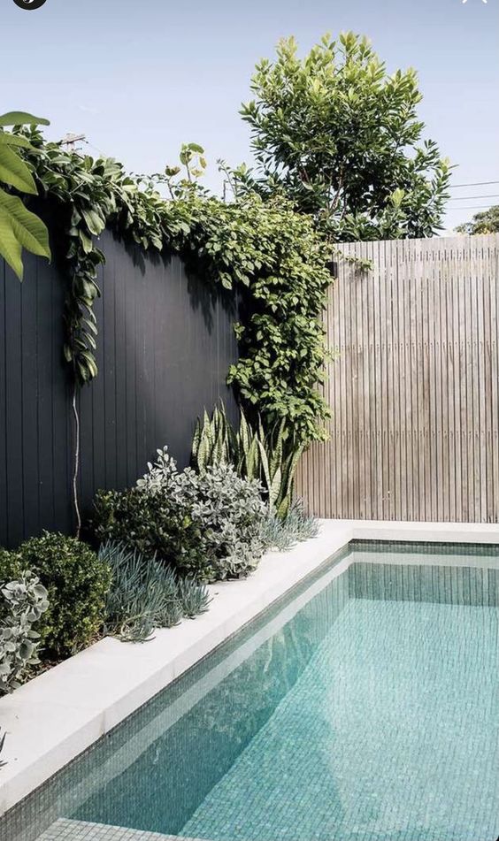 a black fence lined up with lots of greenery and covered with green vines is a lovely idea for a modern space, it looks super stylish