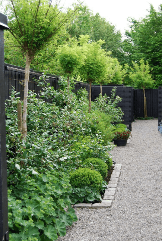 a black fence lined up with lots of lush greenery and trees doesn't look boring at all