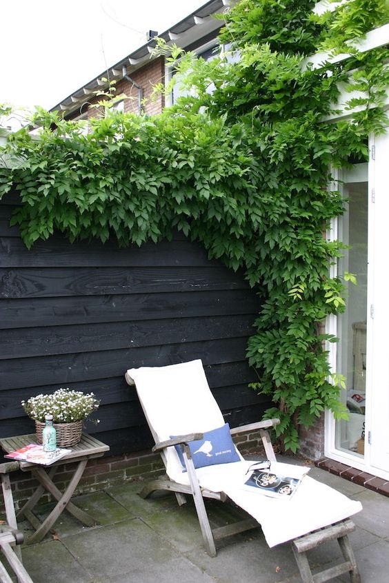 a black fence refreshed with green vines, a white lounger, a folding stool and some blooms in a basket are a lovely outdoor space