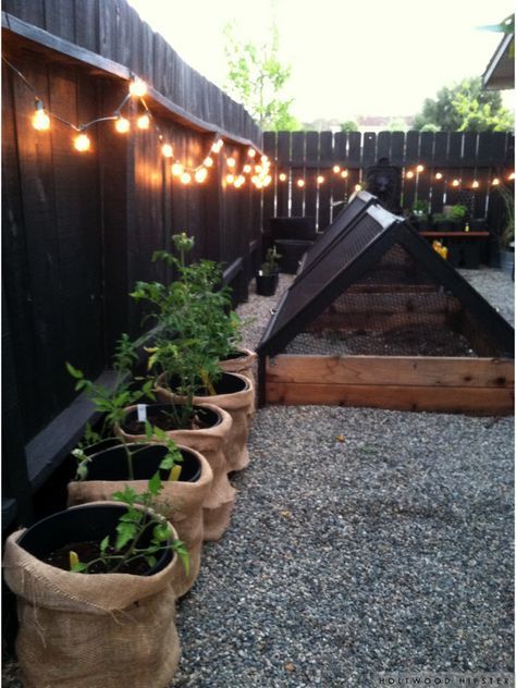 a black fence refreshed with lights is a cool and out of the box idea for a rustic space like this one