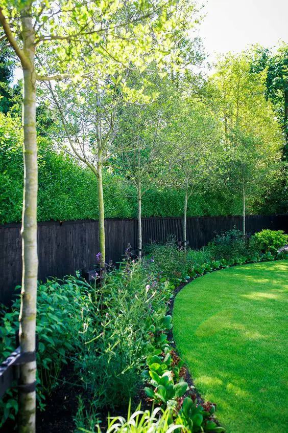 a black fence with a curved garden bed with greenery and blooms plus some trees are a stylish idea for a modern space