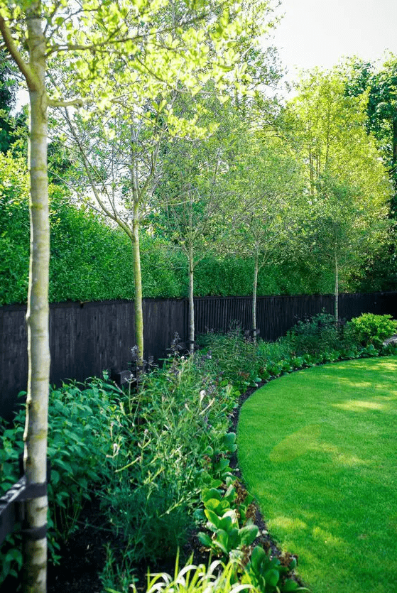 a black fence with a curved garden bed with greenery and blooms plus some trees are a stylish idea for a modern space