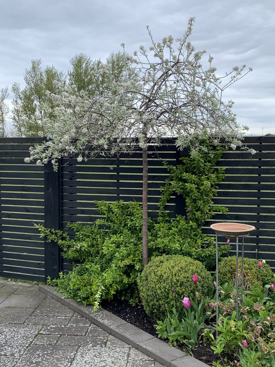 a black fence with a raised garden bed with greenery, a tree and some blooms that refresh its moody look