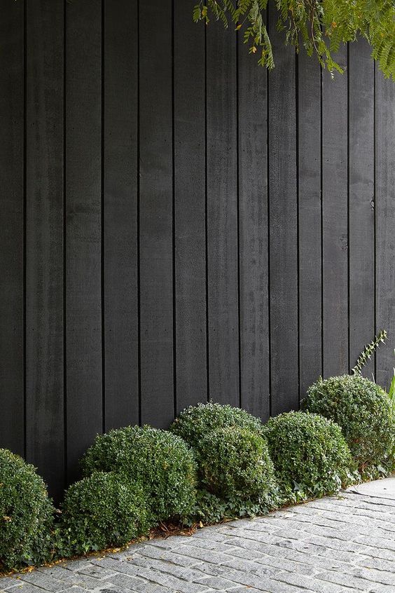a black fence with some green shrubs are a cool combo suitable for modern and minimalist gardens or backyards