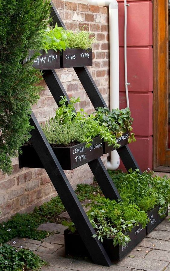 a black ladder with planters holding some herbs and names of the herbs is a cool decoration and mini garden for outdoors
