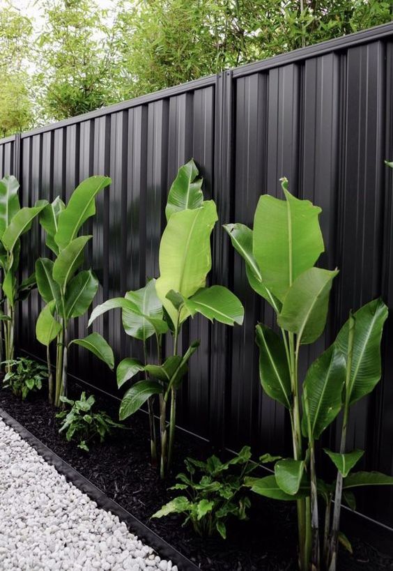 a black metal fence with a garden bed and tropical plants are a refined and chic combo for a modern tropical garden