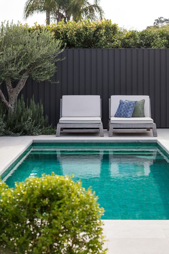 a black metal fence with greenery and a tree next to it, with white outdoor chairs and a pool are a lovely combo for a modern space