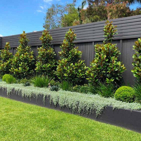 a black wooden fence with a garden bed, greenery, succulents and some trees are a stylish idea for a modern outdoor space