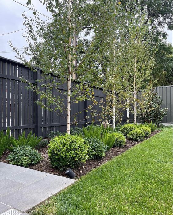a black wooden fence with some greenery and trees are a cool modern combo, great for a modern or Scandinavian garden