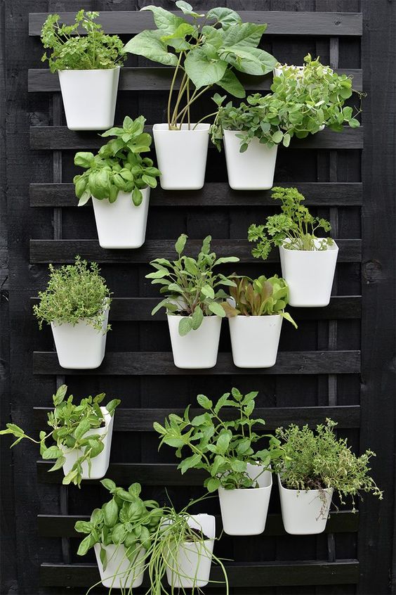 a black wooden pallet attached to the wall, with white planters attached to it is a cool decor idea for outdoors