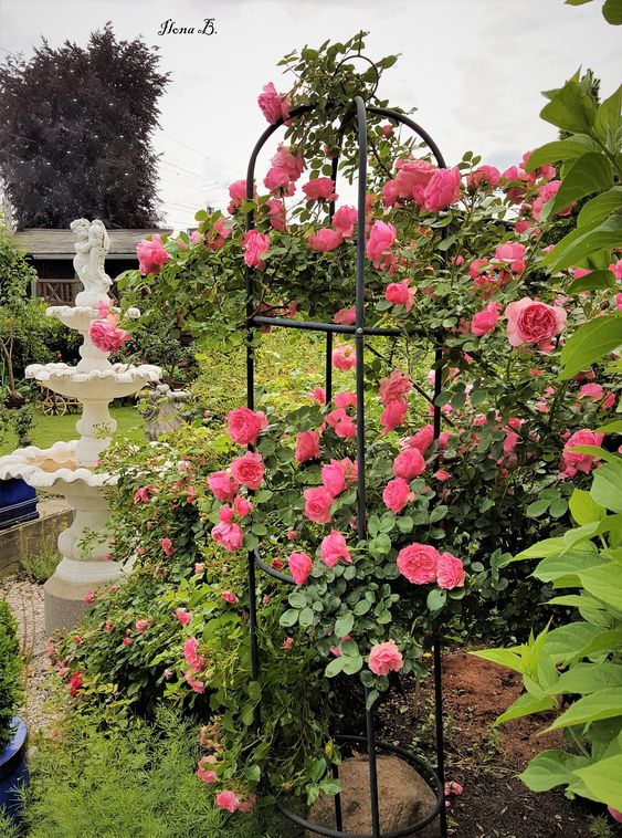 a cage trellis with bold pink blooms and a refined tiered fountain make up a chic and exquisite combo inspired by European gardens