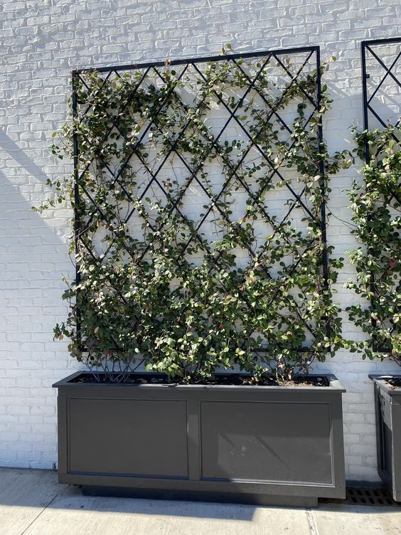 a classic grey planter with a metal trellis on the wall are a cool combo for outdoors, they look cool and stylish at the same time