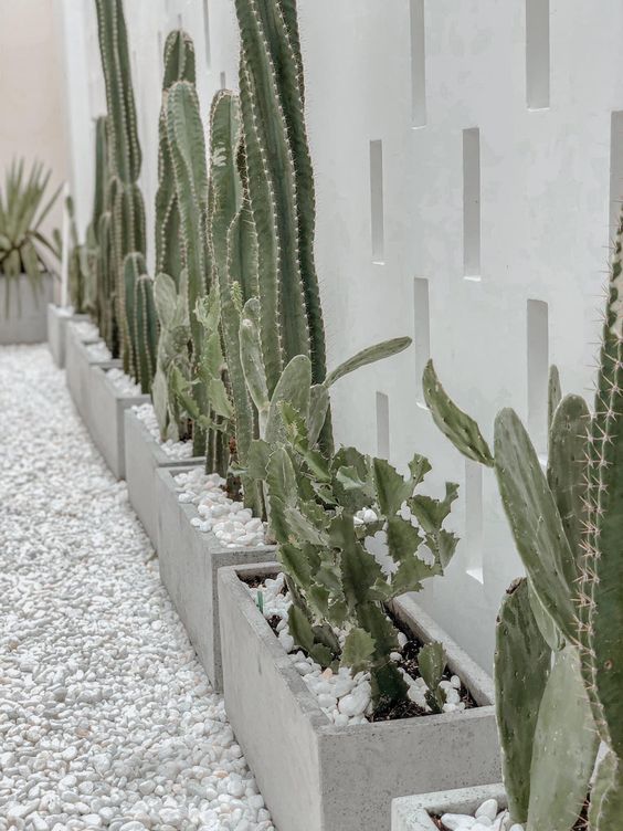 a concrete fence lined up with concrete planters with cacti and white pebbles are a super stylish modern combo for a desert space