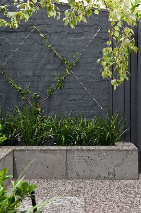 a concrete planter with greenery and a minimalist trellis with a bit of vines is a cool idea for a minimalist garden