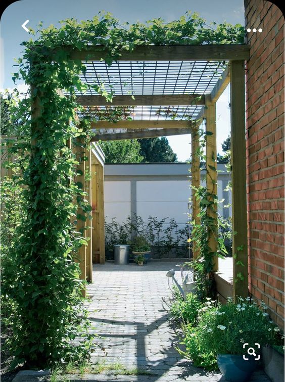 a corridor covered with trellises and with greenery looks beautiful, fresh and very outdoorsy