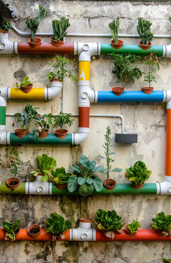 a creative colorful vertical garden made of pipes attached to the wall and some planters inserted into the pipes