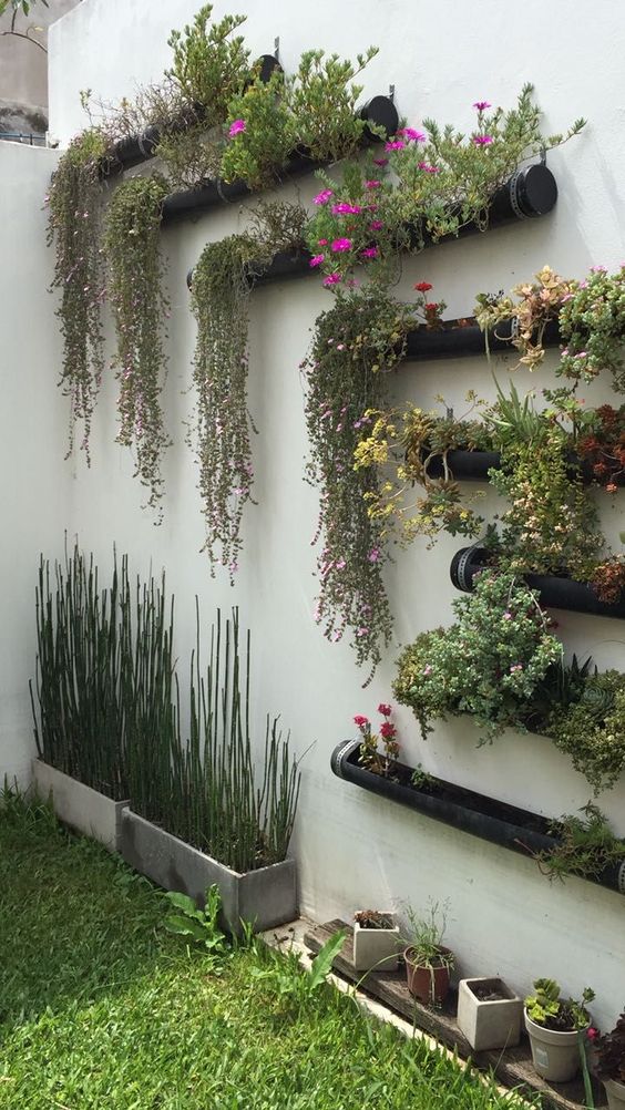 a creative modern vertical garden of black pipes attached to the wall that are planters for succulents and blooms is a cool idea