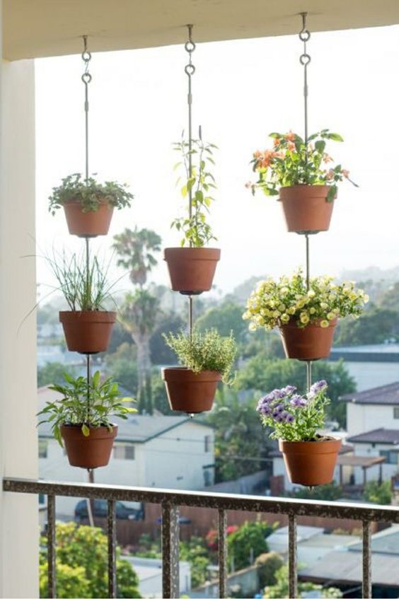 a creative vertical garden of planters suspended is a cool idea for anything, from blooms to veggies, and it won't take any space