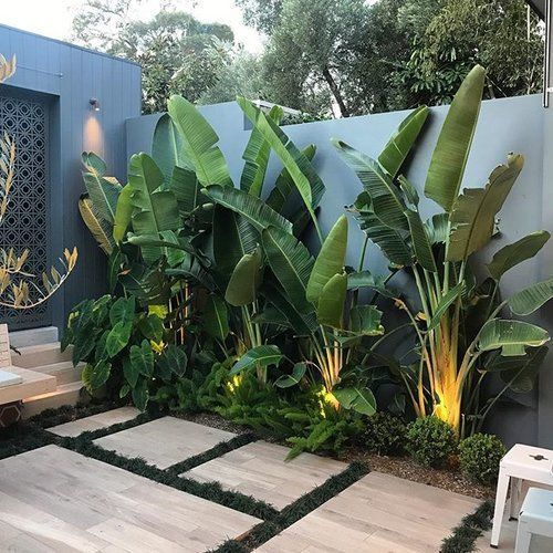 a grey fence with greenery, foliage and tall tropical plants plus lights are a stylish and cool combo for a modern space
