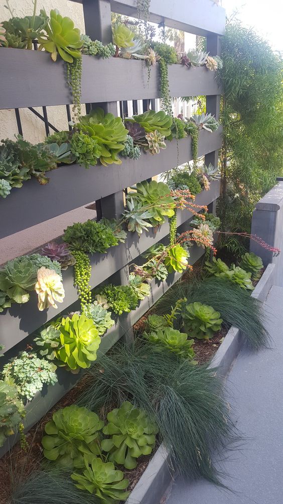 a grey wooden vertical garden with succulents and grasses is a cool alternative to a usual privacy screen or even privacy fence